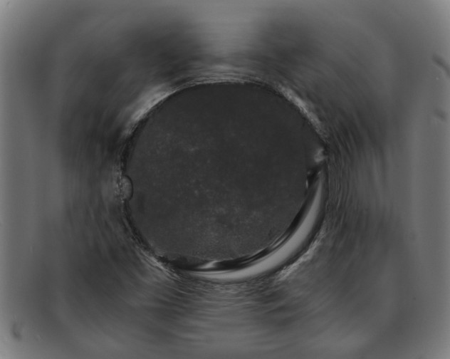 X0000091881453200709121404