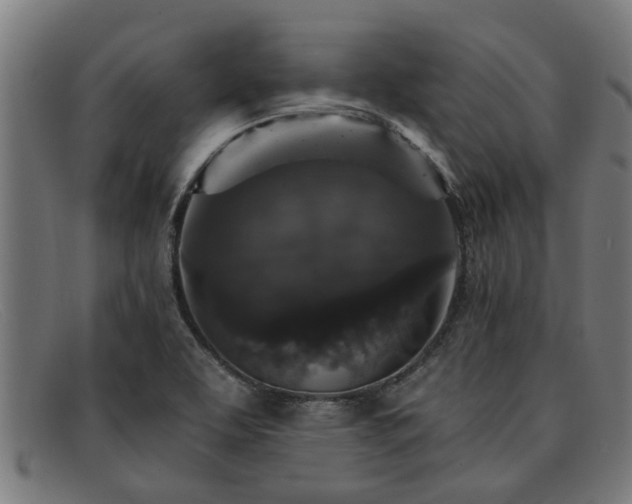 X0000091881463200709121404