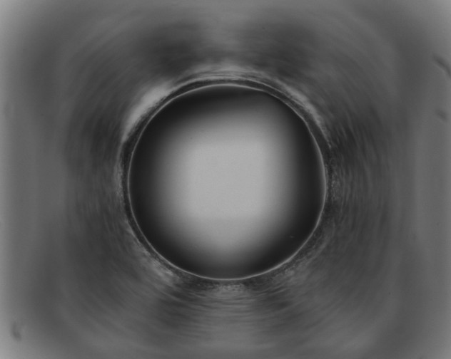 X0000091881464200709121404