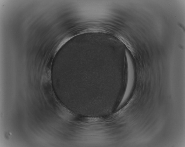 X0000091881465200709121404