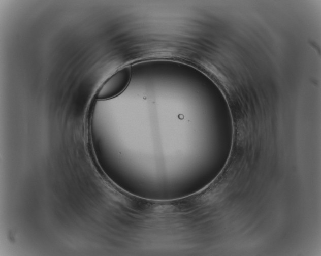 X0000091881467200709121404