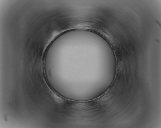 X0000091881470200709121404