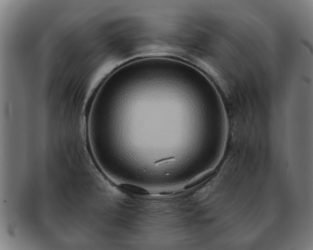 X0000091881472200709121404