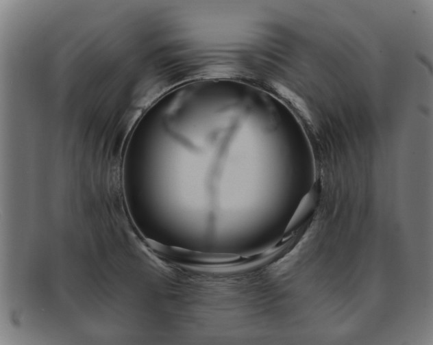 X0000091881473200709121404