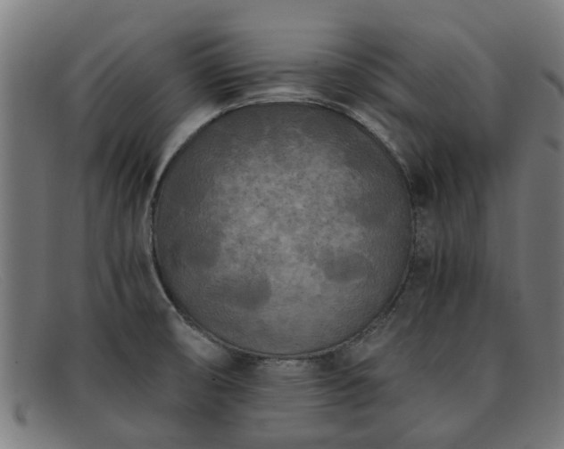 X0000091881474200709121404