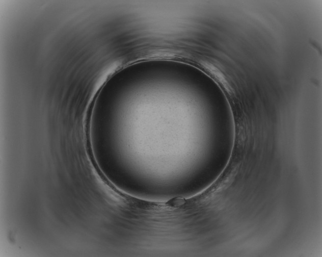 X0000091881475200709121404