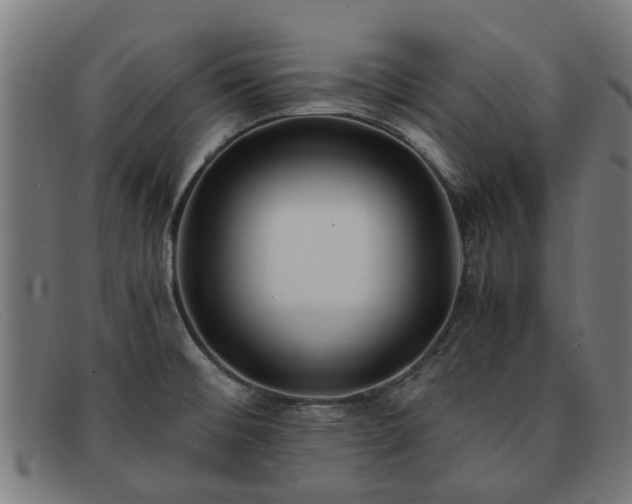 X0000091881476200709121404