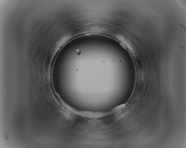 X0000091881477200709121404