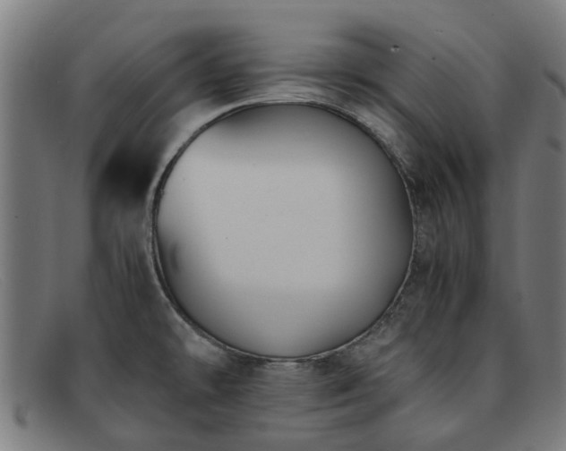 X0000091881478200709121404