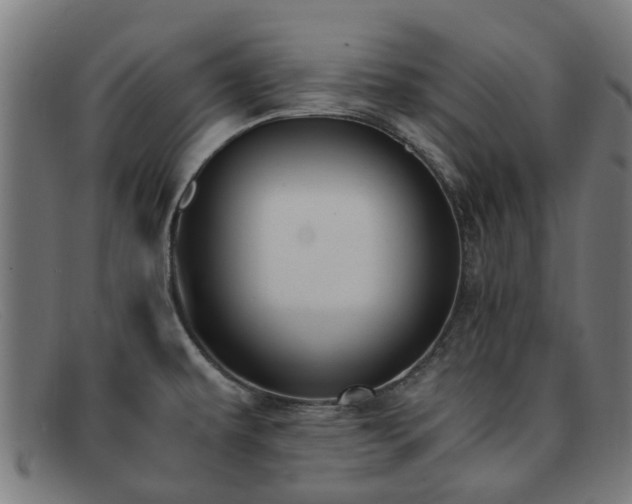 X0000091881479200709121404