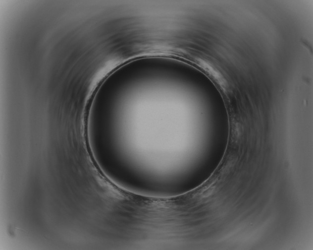 X0000091881480200709121404