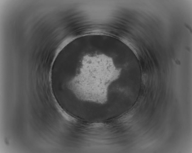 X0000091881482200709121404