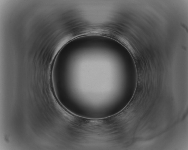 X0000091881483200709121404