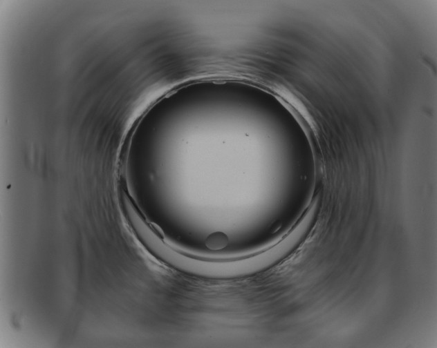 X0000091881485200709121404
