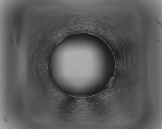 X0000091881489200709121403