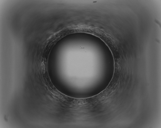 X0000091881493200709121403