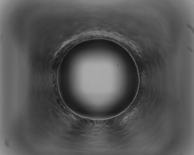 X0000091881494200709121403