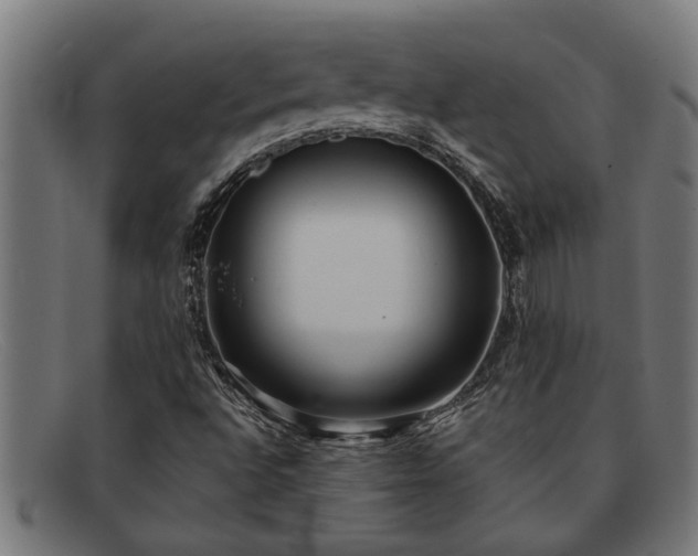 X0000091881496200709121403