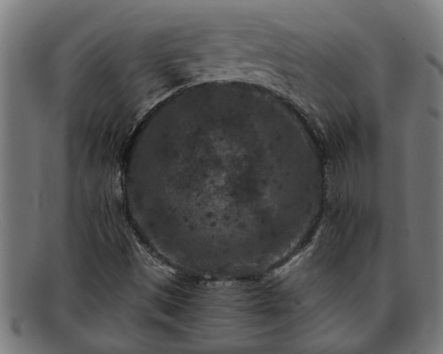 X0000091881497200709121403