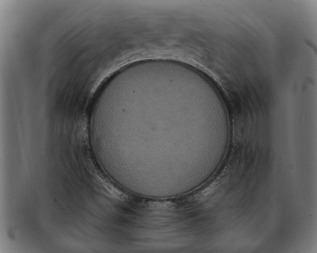 X0000091881498200709121403