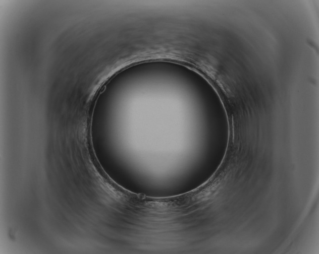 X0000091881500200709121403
