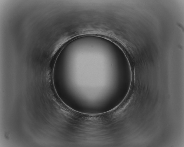 X0000091881501200709121403