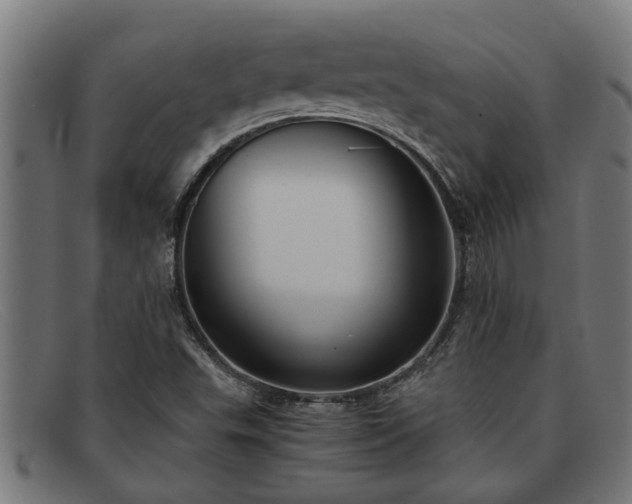 X0000091881503200709121403