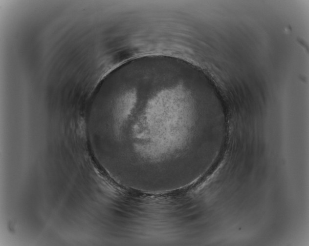 X0000091881505200709121403