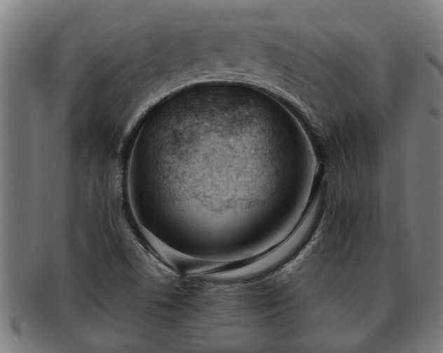 X0000091881506200709121403