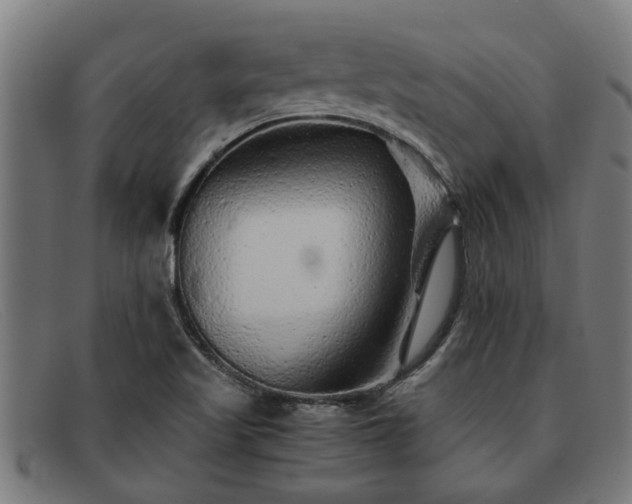 X0000091881509200709121404