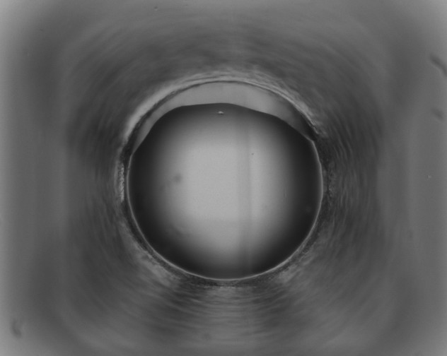 X0000091881510200709121404
