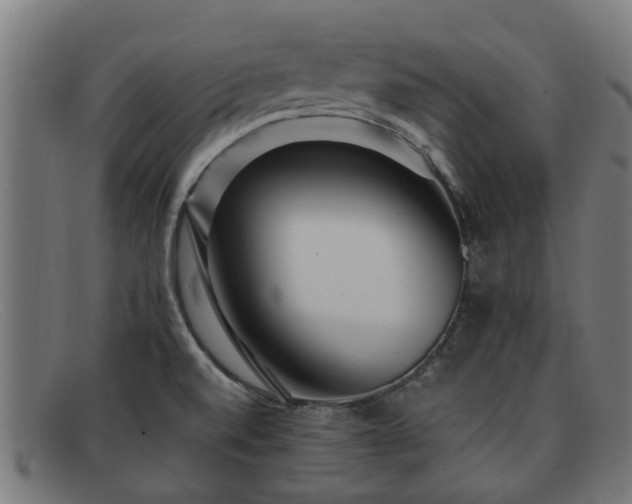 X0000091881520200709121404