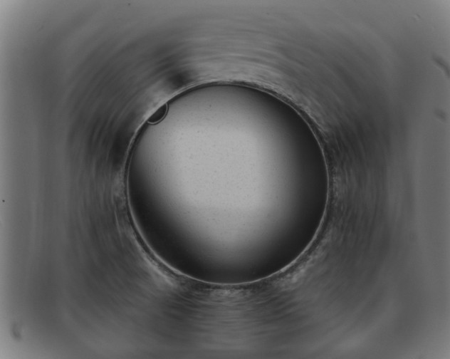 X0000091881521200709121404