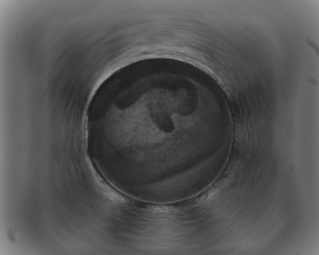X0000091881522200709121404