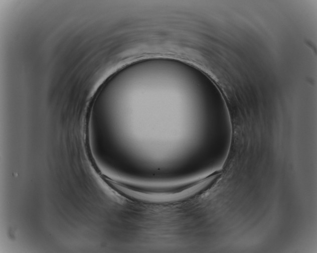 X0000091881523200709121404