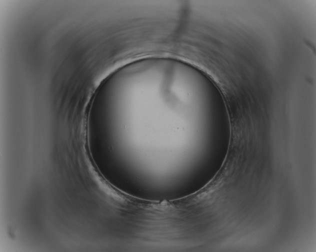 X0000091881526200709121404