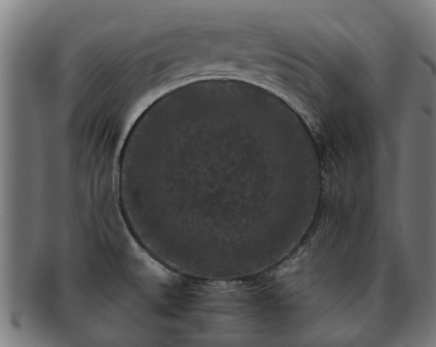 X0000091881527200709121404