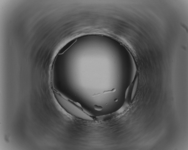 X0000091881528200709121404