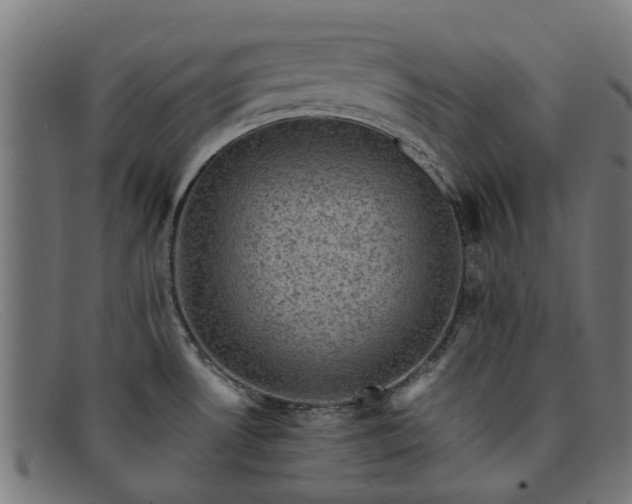 X0000091881530200709121404