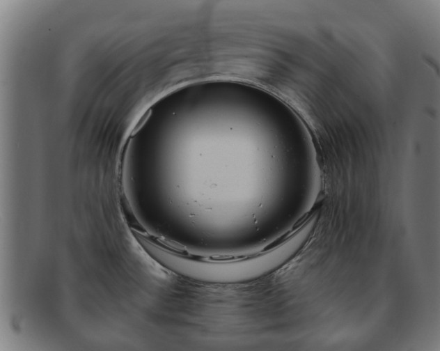 X0000091881532200709121404