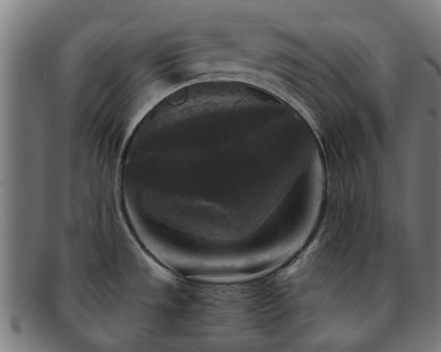 X0000091881533200709121404