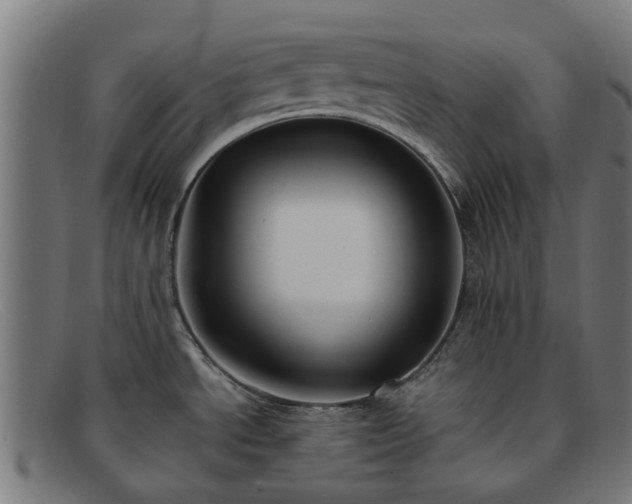 X0000091881534200709121404