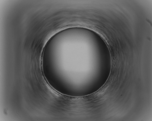 X0000091881535200709121404
