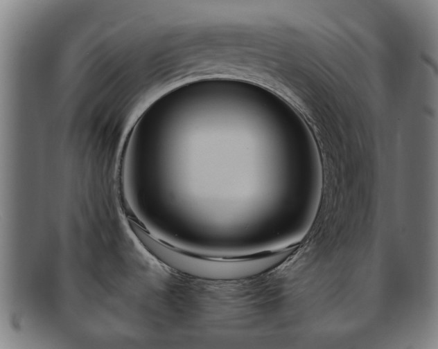 X0000091881536200709121404