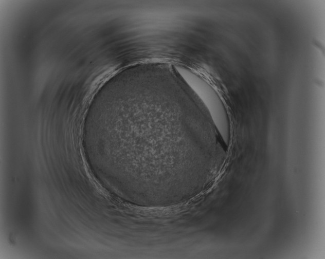 X0000091880001200709191206