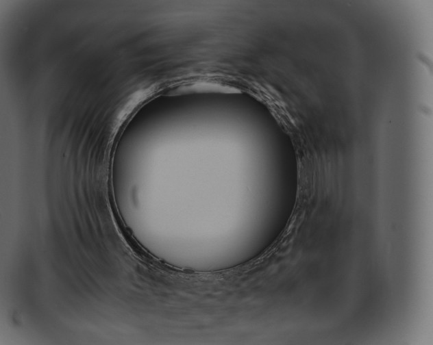 X0000091880003200709191206