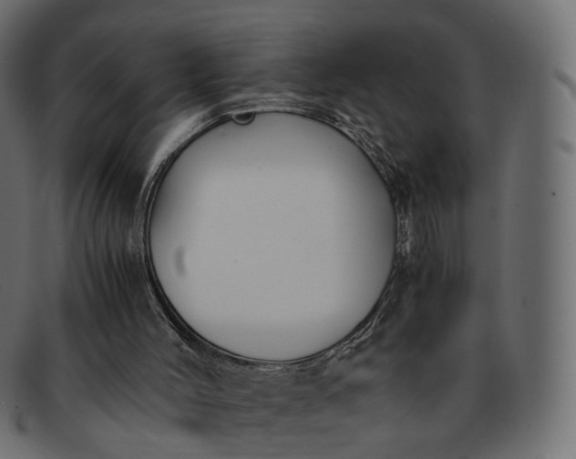 X0000091880004200709191206