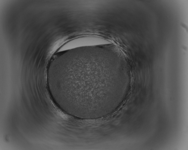 X0000091880005200709191206