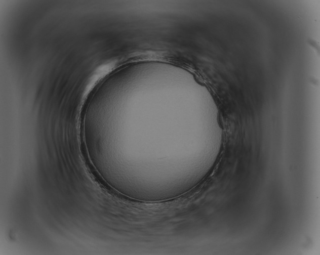 X0000091880006200709191206