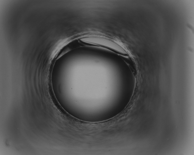 X0000091880007200709191206